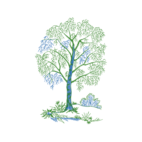 Illustration Flowers Illustration Flowers