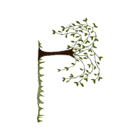 Illustration Flowers