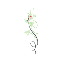 Illustration Flowers Illustration Flowers