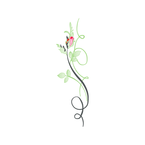 Illustration Flowers Illustration Flowers