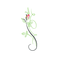 Illustration Flowers Illustration Flowers