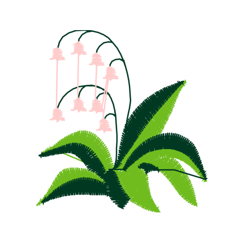 Illustration Flowers Illustration Flowers