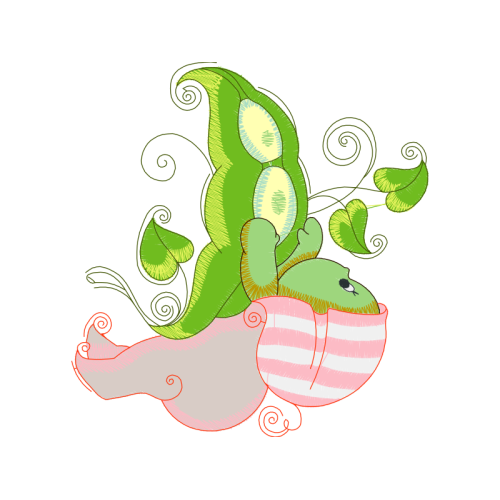 Illustration Flowers Illustration Flowers