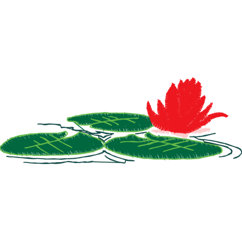 Illustration Flowers Illustration Flowers