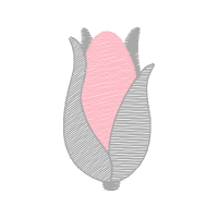 Illustration Flowers Illustration Flowers