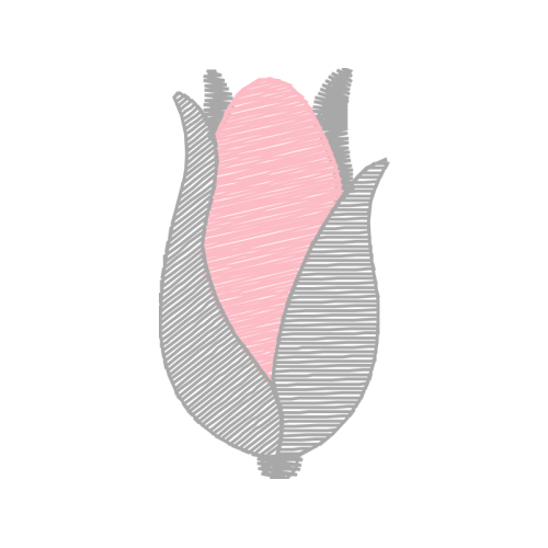 Illustration Flowers Illustration Flowers