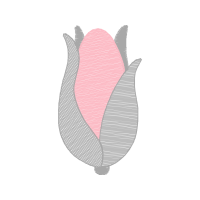 Illustration Flowers Illustration Flowers