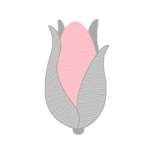 Illustration Flowers Illustration Flowers