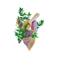 Illustration Flowers Illustration Flowers