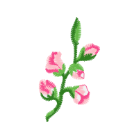 Illustration Flowers Illustration Flowers