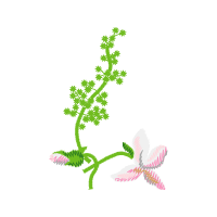 Illustration Flowers Illustration Flowers