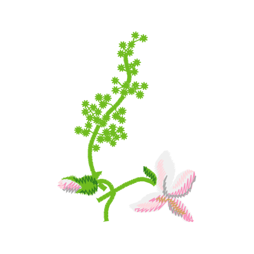 Illustration Flowers Illustration Flowers