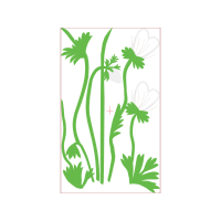 Illustration Flowers Illustration Flowers