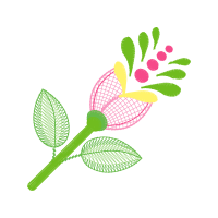 Illustration Flowers