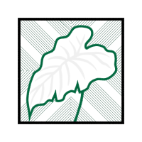 Illustration Flowers Illustration Flowers