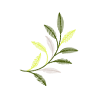 Illustration Flowers