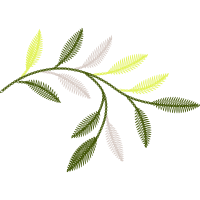 Illustration Flowers