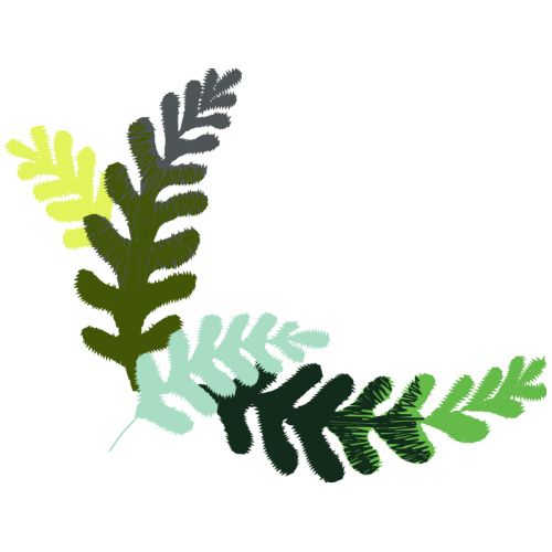 Illustration Flowers Illustration Flowers