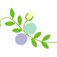 Illustration Flowers Illustration Flowers