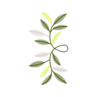 Illustration Flowers