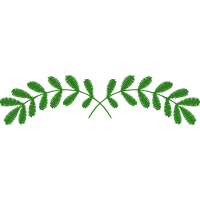 Illustration Flowers Illustration Flowers