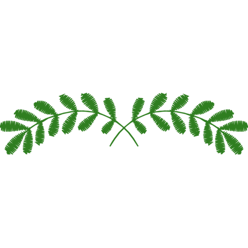 Illustration Flowers Illustration Flowers