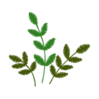 Illustration Flowers Illustration Flowers