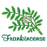 Illustration Flowers