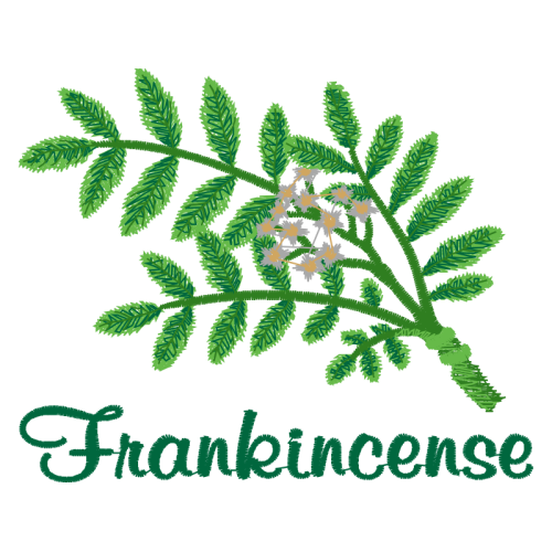 Illustration Flowers Illustration Flowers