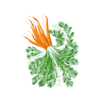 Illustration Flowers Illustration Flowers