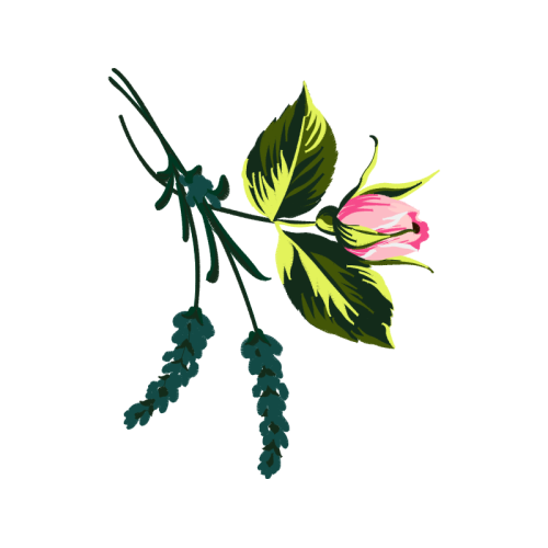 Illustration Flowers Illustration Flowers