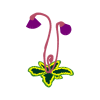 Illustration Flowers Illustration Flowers