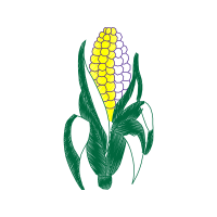 Illustration Flowers