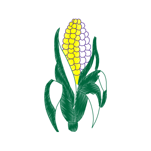 Illustration Flowers Illustration Flowers