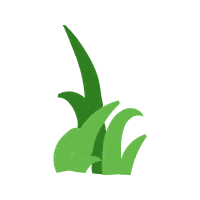 Illustration Flowers Illustration Flowers