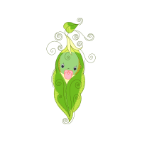 Illustration Flowers Illustration Flowers