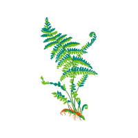 Illustration Flowers Illustration Flowers