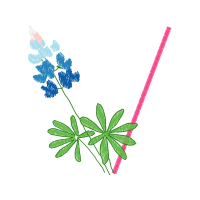 Illustration Flowers Illustration Flowers