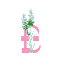 Illustration Flowers Illustration Flowers