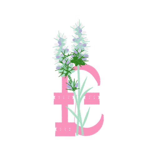 Illustration Flowers Illustration Flowers