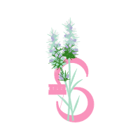 Illustration Flowers Illustration Flowers