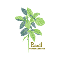 Illustration Flowers