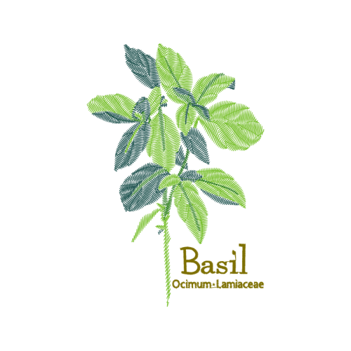 Illustration Flowers Illustration Flowers