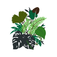 Illustration Flowers