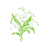 Illustration Flowers Illustration Flowers