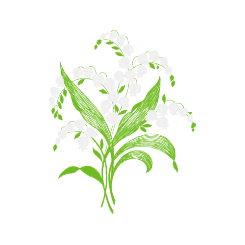 Illustration Flowers Illustration Flowers