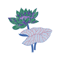 Illustration Flowers Illustration Flowers