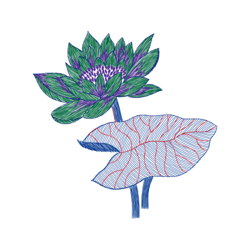 Illustration Flowers Illustration Flowers