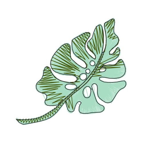 Illustration Flowers Illustration Flowers