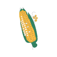 Illustration Flowers Illustration Flowers